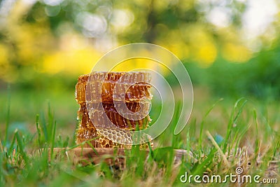 honey in the garden. Selective focus. Stock Photo