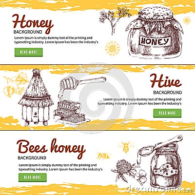 Honey Hand Drawn Banners Set Vector Illustration