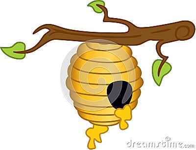 Honey hive hanging on branch of tree Vector Illustration