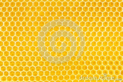 Honey in honeycomb background Stock Photo