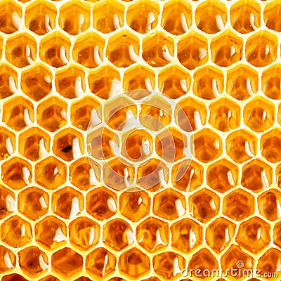 Honey in honeycomb closeup Stock Photo