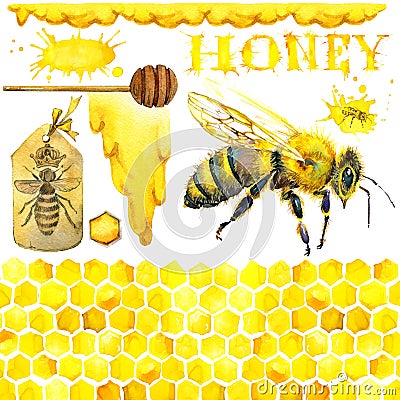 Honey, honeycomb, honey bee. Set for design label products from honey. Watercolor illustration Cartoon Illustration