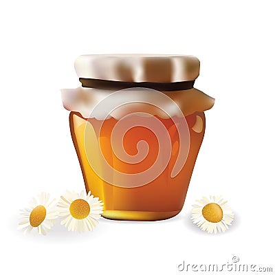 Honey Jar with Chamomille . Isolated On White Background Vector illustration .Icon Vector Illustration