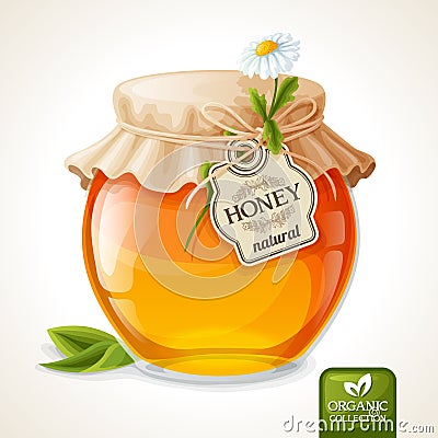 Honey jar glass Vector Illustration