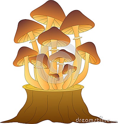 Honey mushroom family growing on a stump Vector Illustration