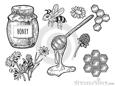 Honey objects set Vector Illustration