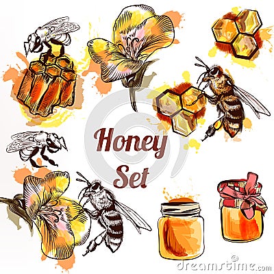 Honey set or collection elements bees comb and honey in waterco Stock Photo