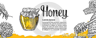 Honey set. Jars beer and honeycomb. Vector Illustration