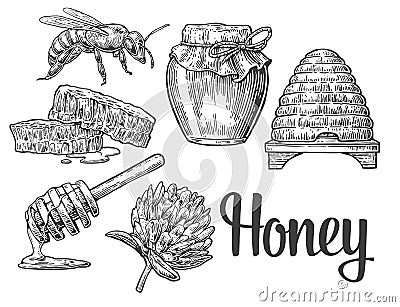 Honey set. Jars of honey, bee, hive, clover, honeycomb. Vector vintage engraved illustration. Vector Illustration