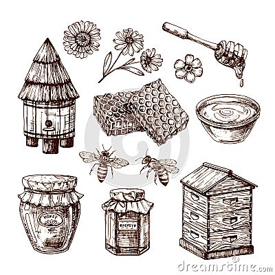 Honey sketch. Bee and honeyed flower, honeycomb and hive. Hand drawn vintage vector isolated set Vector Illustration