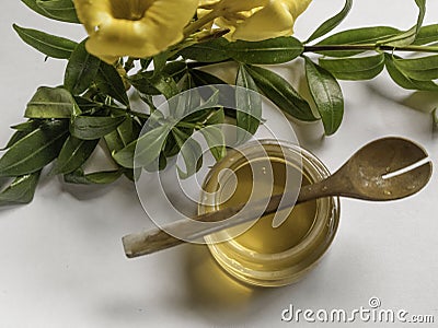 Honey is an skincare natural remedie Stock Photo