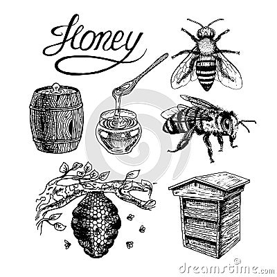 Honey vintage vector set Vector Illustration