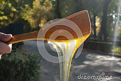 Honey on wooden spoon on green background Stock Photo