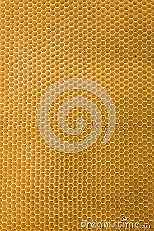 Honeycomb Stock Photo