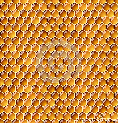 Honeycomb Vector Illustration