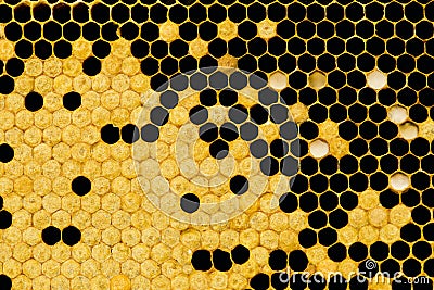 Honeycomb Stock Photo