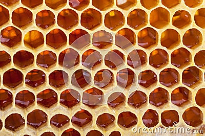 Honeycomb background Stock Photo