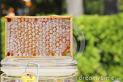 Honeycomb Stock Photo
