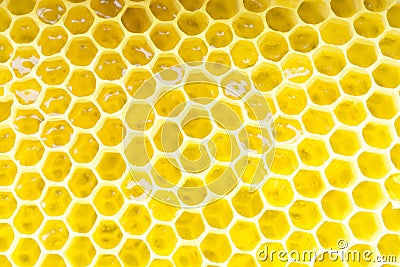 Honeycomb Stock Photo