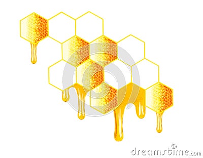 Honeycomb dripping Stock Photo