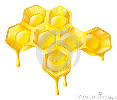 Honeycomb with dripping honey Vector Illustration