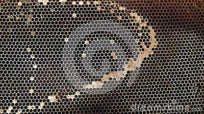 Honeycomb Stock Photo