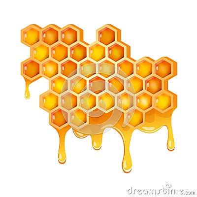 Honeycomb with flowing honey Vector Illustration