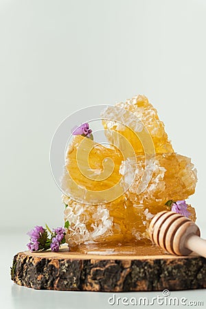 Honeycomb with honey deeper and wild flowers Stock Photo