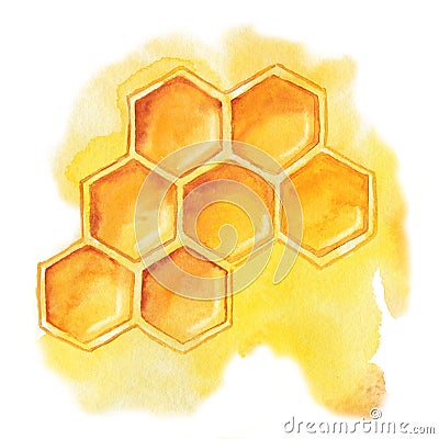 Honeycomb with honey, bee product isolated on white background. Close-up watercolor illustration. Packaging and wrapping Cartoon Illustration