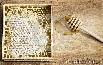 Honeycomb with honey Stock Photo