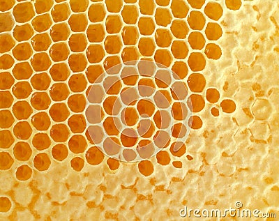 Honeycomb Stock Photo