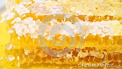 Honeycomb Stock Photo