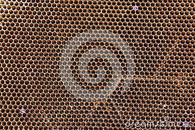 Honeycomb Stock Photo