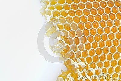 Honeycomb isolated Stock Photo