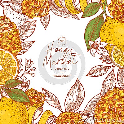 Honeycomb pieces. Honey elements engraved vintage style. Packaging image. Vector illustration Vector Illustration