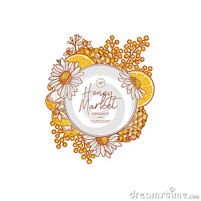 Honeycomb pieces. Honey elements engraved vintage style. Packaging image. Vector illustration Vector Illustration