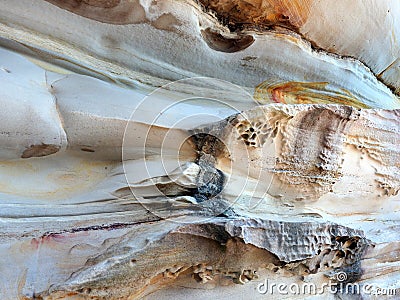 Honeycomb Sandstone Patterns, Bondi Beach, Australia Stock Photo