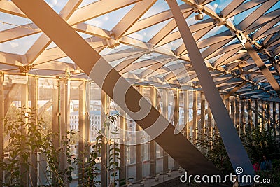 Honeycomb shaped glass ceiling in the business center Stock Photo