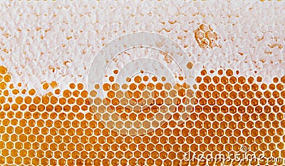 Honeycomb texture background. Top view. Bright yellow background. Stock Photo