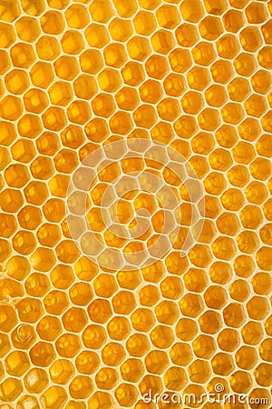 Honeycomb texture for natural background Stock Photo