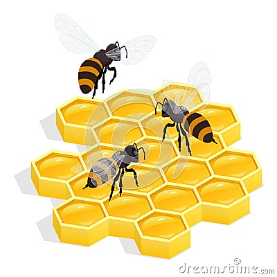 Honeycombs Flat 3d vector isometric illustration. Honey natural healthy food production. Vector Illustration