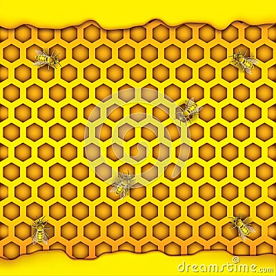 Honeycombs in the shape of hexagon, puddle of honey, bee. Vector illustration Vector Illustration