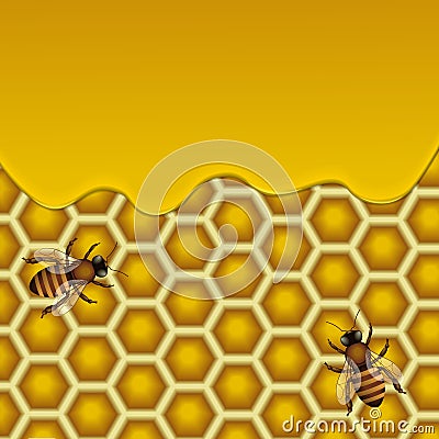 Honeycombs vector illustration. Cartoon Illustration