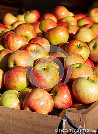 Honey crisp apples at an outdoor market Stock Photo