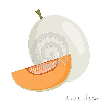 Honeydew melon vector.Fresh honeydew melon illustration Vector Illustration