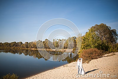 Honeymoon of just married wedding couple. happy bride, groom standing on beach, kissing, smiling, laughing, having fun on beach Stock Photo