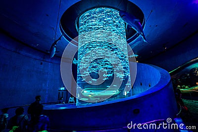 Hong Kong, China - Giant fish tank in Ocean Park aquarium Editorial Stock Photo