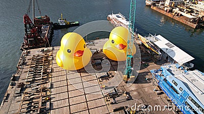 two giant Rubber duckie in hong kong Editorial Stock Photo