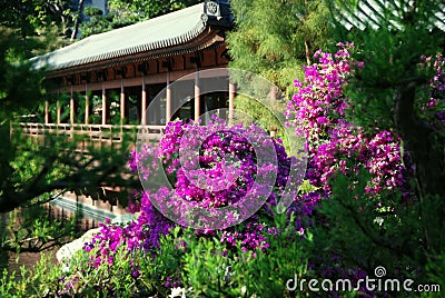 Hong Kong: Nan Lian Garden Stock Photo