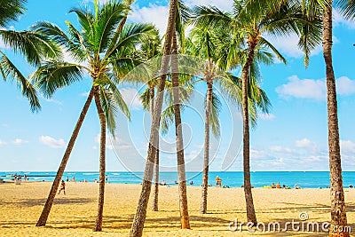 Kuhio beach park in Honolulu, Oahu, Hawaii Editorial Stock Photo